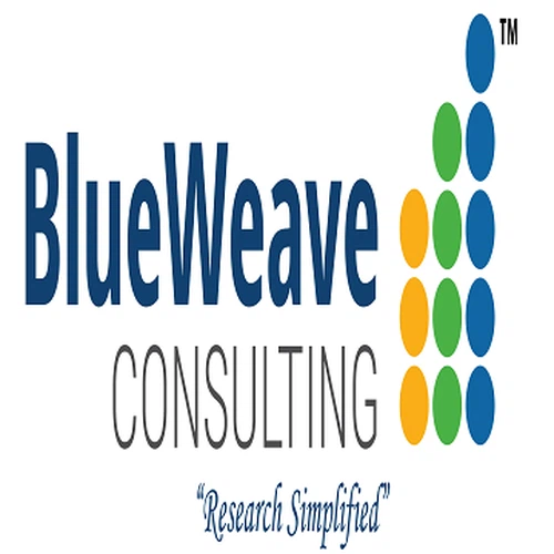 シェル&チューブ熱交換器の市場規模は着実に成長し、2029年までに133億米ドルに達する見通し|ブルーウィーブコンサルティング